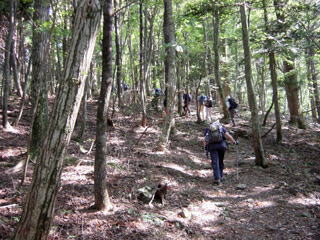 ��a�R�R�[�X